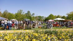 Besonders bei sonnigem wetter lohnt sich ein Besuch im Park der Gärten.