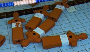 Beim Rettungsschwimmen müssen die Teilnehmer nicht nur Bahnen ziehen, sondern unter anderem auch Dummys aus dem Wasser holen.