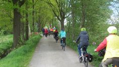 Die Runde hat eine Strecke von etwa 30 Kilometern und verläuft überwiegend auf befestigten Wegen durch die Hammewiesen.