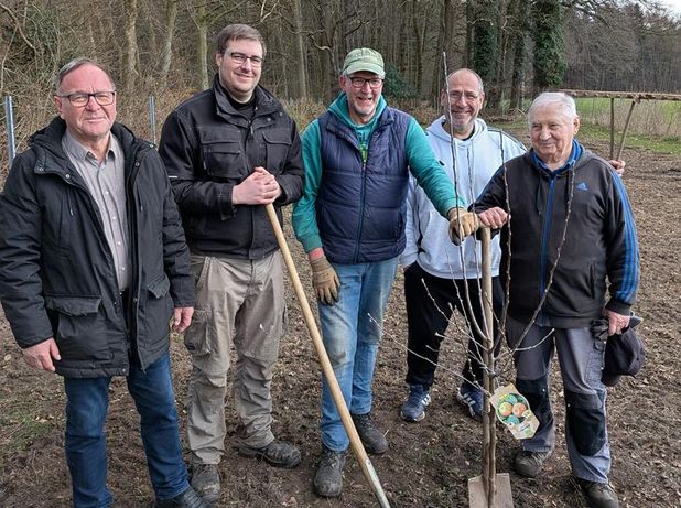 Noch sind die Obstbäume klein, doch schon bald tragen sie leckere Früchte.