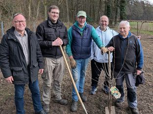 Noch sind die Obstbäume klein, doch schon bald tragen sie leckere Früchte.