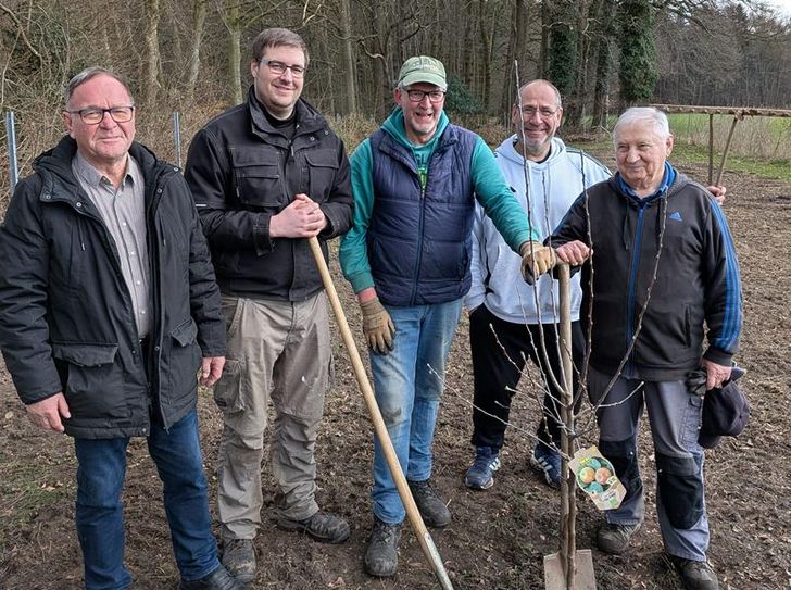 Noch sind die Obstbäume klein, doch schon bald tragen sie leckere Früchte.