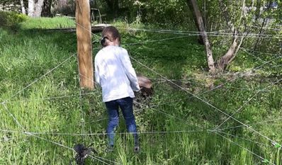 Durch ein Spinnennetz zu klettern ist nur eine von vielen Möglichkeiten, die Natur aus einer anderen Perspektive zu erleben.