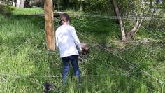 Durch ein Spinnennetz zu klettern ist nur eine von vielen Möglichkeiten, die Natur aus einer anderen Perspektive zu erleben.