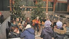 Durch die musikalische Begleitung wurde es bei Familie Haak so richtig weihnachtlich.