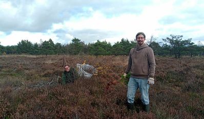Nutzen ihren freien Tag für den aktiven Naturschutz: Mitarbeiter des Amtes für Naturschutz und Landschaftspflege.