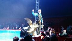 Beim Classic Winter Circus sind erstmalig auch Seelöwen live dabei.