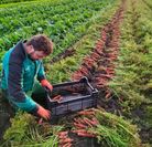 Betriebsleiter Marc Schweighöfer erklärt den Gästen alles Wichtige zum Thema Landwirtschaft.