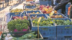 Frische Lebensmittel und mehr gibt es ab dem 16. Mai jeden Donnerstag auf dem Gnarrenburger Wochenmarkt. Foto: AdobeStock