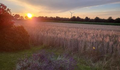 Sting und Tucholsky: Alles ruht auf den „Fields of Gold“.