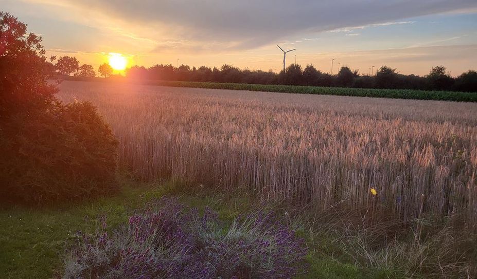 Sting und Tucholsky: Alles ruht auf den „Fields of Gold“.
