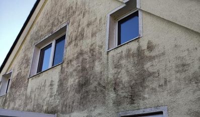 Die Reinigung von Fassaden ist eine Spezialität des Teams von Outdoor Cleaning.