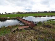 Einblicke in die Herausforderungen und Möglichkeiten für eine Landwirtschaft mit Klimaschutz: Grabenstau Beekniederung.