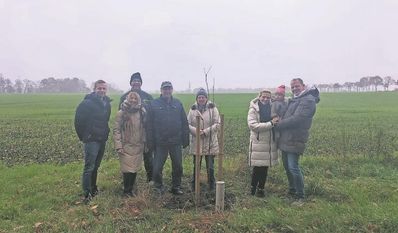 Die Hochzeitsallee in Hollen wächst auch dieses Jahr ein Stückchen weiter.