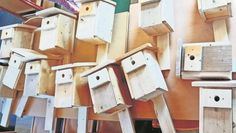 Die Nistkästen bieten Platz für viele Vögel in Gnarrenbburg.