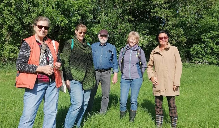 Eine Gruppe vom Baumschützer:innen will verhindern, dass zahlreiche alte Bäume einem neuen Gewerbegebiet in Ritterhude zum Opfer fallen.