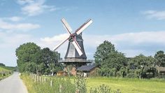 Schwanewede (eb). An der Aschwardener Mühle findet am Dienstag, 3. Oktober, der 15. Bauern- und Kunsthandwerkermarkt statt. Von 10.30 bis 17 Uhr bieten regionale Erzeuger:innen Gemüse, Herbstblüher, Weiß- und Rotkohl sowie Honig an. Eine vielfältige Auswahl an Wurst-, Käse- und Ölsorten werden ebenfalls angeboten. Für die Gartendekoration werden Holzfiguren, Gartenstecker und vieles mehr angeboten. Die Mühle kann an diesem Tag besichtigt werden. Für die Kleinen gibt es zwei Hüpfburgen. Hinter der Mühle werden verschiedene Speisen bereitgestellt. Der Erlös wird zum Erhalt der Mühle verwendet.