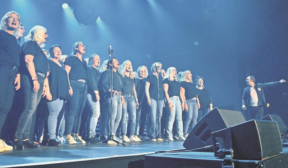 Der Gnarrenburger Frauenchor hatte Sänger Bosse mit einem Video überzeugt und durfte deshalb jetzt beim Konzert in Bremen auf der Bühne mitsingen.