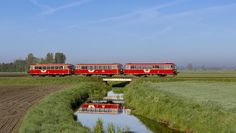 Der historische Zug ist nicht nur von außen ein echter Hingucker, auch die Fahrt selbst hat vieles zu bieten.