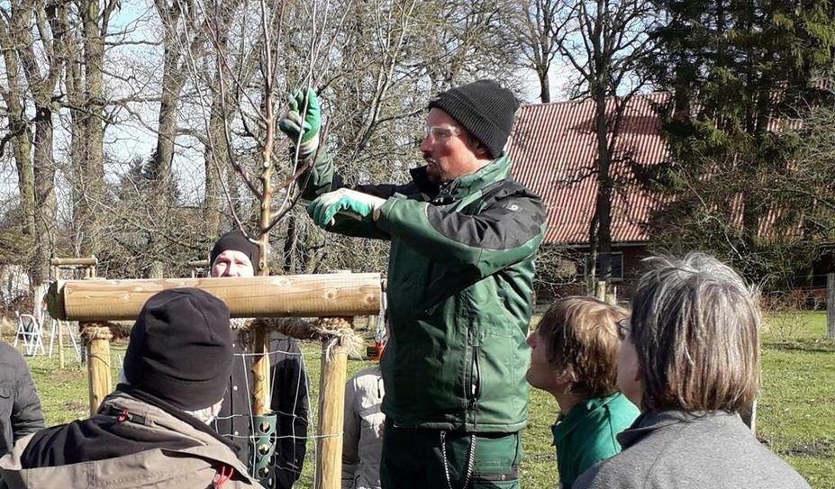 Torsten Brunkhorst erläutert die Vorgehensweisen direkt am Baum.