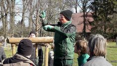 Torsten Brunkhorst erläutert die Vorgehensweisen direkt am Baum.