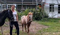 Nicole Klein möchte demenzkranken Menschen mithilfe von Tieren nicht nur erfüllende Aufgaben geben, sondern auch alte Erinnerungen wieder aufleben lassen.