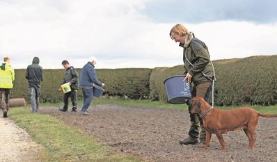 Alle packen fleißig mit an, damit die Blühwiese in den kommenden Wochen mit vielen insektenfreundlichen Blumen bedeckt ist.