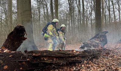 Die Stadtfeuerwehr blickt auf eine überraschend ruhige Silvesternacht zurück. Auf dem Foto zu sehen ist ein Routineeinsatz infolge eine Schwelbrands an einem Baumstamm, zu dem die Brandschützer bereits am Morgen gerufen wurden.
