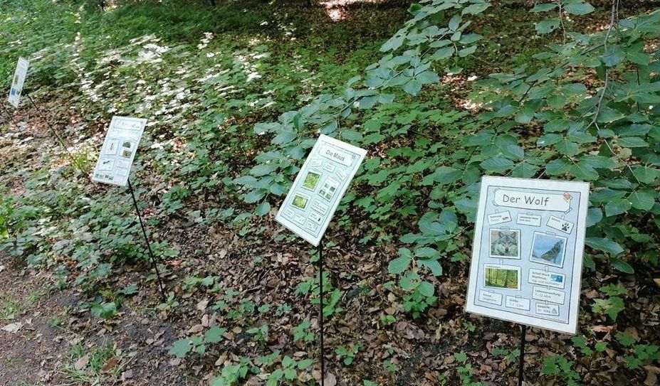 Jerome Rosenboom und Nico Wessels ordnen Blätter zu.