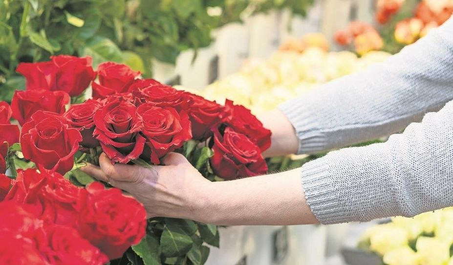 Ein Strauß rote Rosen: der Klassiker am Valentinstag, zumindest für die, die ihn feiern. Viele andere halten sich besonders dann von Blumenläden fern.