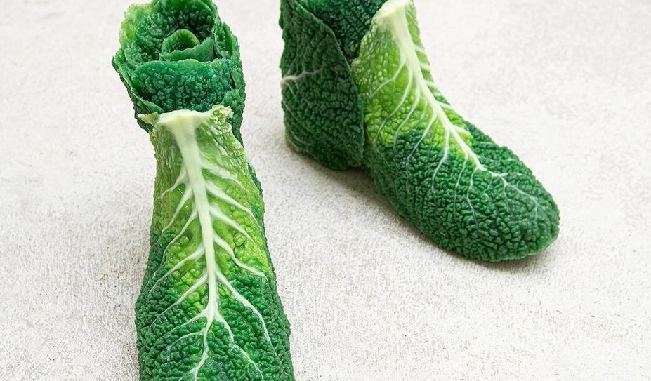 Lucila Pacheco Dehne, Companion 6,