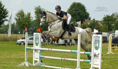 Beim Reitturnier in Kuhstedt können die Besucher:innen spannende Spring- und Dressurwettbewerbe verfolgen.