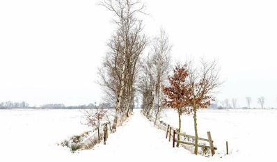 Die Serie „Winterland“ von Jürgen Strasser ist unter anderem im Teufelsmoor entstanden.