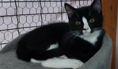 Foto: Tiere in Not e.V.