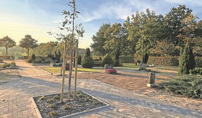 Neue Bäume werden schon in wenigen Jahren für schattige Plätze sorgen.