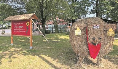 Der Ort Kuhstedt wurde bereits passend zum Erntefest dekoriert.