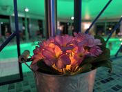 Bei gedimmtem Licht und ruhiger Musik lässt es sich besonders gut entspannen.