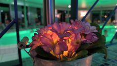 Bei gedimmtem Licht und ruhiger Musik lässt es sich besonders gut entspannen.