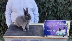 Janka Nöppert ist die erfolgreichste Jugendausstellerin des Vereins.