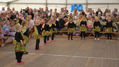 Familiensporttage in Hollen: Der TSV feierte sein 100-jähriges Bestehen.