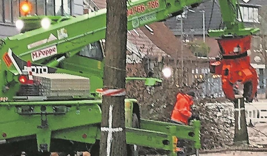 „Die Fällung der Bäume ist das Resultat eines mehrjährigen demokratischen Entscheidungsprozesses“, heißt es aus dem Rathaus.