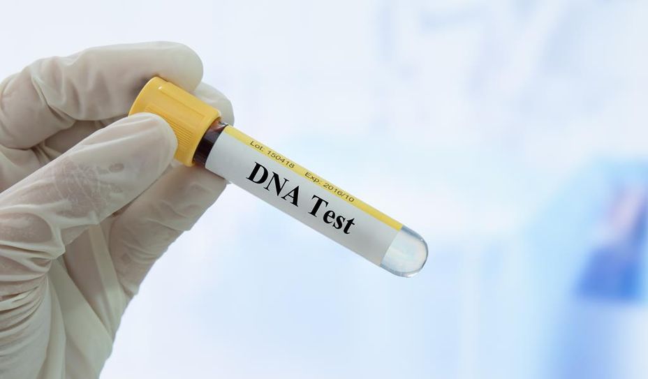 Bestätigt ein DNA-Test die Vaterschaft, kann das Familiengericht die bestehende rechtliche Vaterschaft aufheben und neu feststellen.