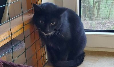 Foto: Tiere in Not e.V.