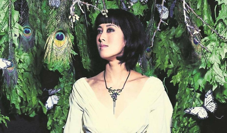 Vienna Teng selbst ordnet ihren Musikstil zwischen Folk und Pop ein.