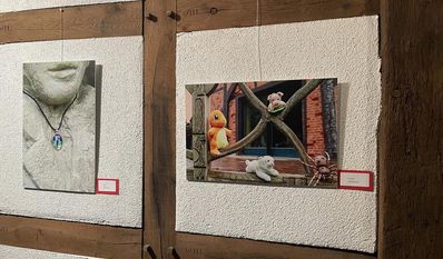 Sechs Fotos von jungen Künstler:innen zieren aktuell die Wände des Worpsweder Rathauses.