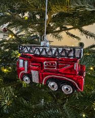 Tannenbaum-Sammelaktion