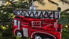 Tannenbaum-Sammelaktion