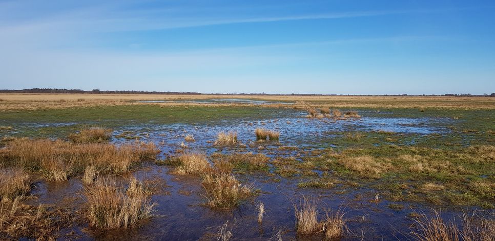 Beeindruckende Bilder der Hamme- und Wümmeniederung und Berichte sorgen für einen informativen wie unterhaltsamen Abend.