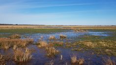 Beeindruckende Bilder der Hamme- und Wümmeniederung und Berichte sorgen für einen informativen wie unterhaltsamen Abend.