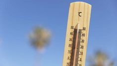 In den drei Sommern 2018 bis 2020 starben in Deutschland dem Robert-Koch-Institut zufolge sogar mehr als 19.000 Menschen aufgrund von Hitze.
